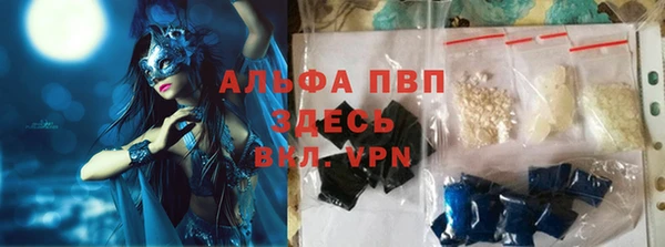 прущие грибы Белоозёрский