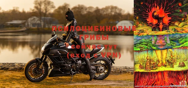прущие грибы Белоозёрский