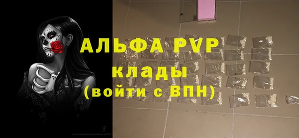 прущие грибы Белоозёрский