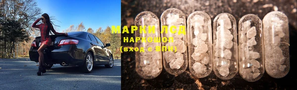 прущие грибы Белоозёрский