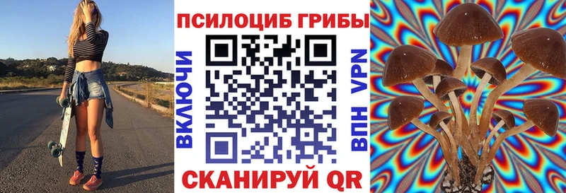 наркота  Верхняя Пышма  blacksprut онион  Галлюциногенные грибы Magic Shrooms 