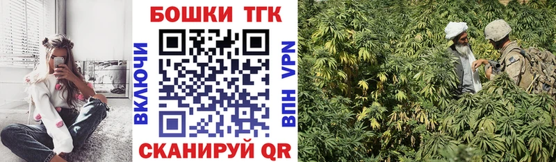 Бошки Шишки план  Верхняя Пышма 